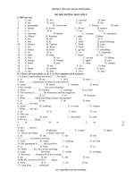 Đề Tiếng Anh bồi dưỡng học sinh giỏi lớp 5