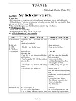 Giáo án các môn học lớp 2 - Tuần 12 năm 2012