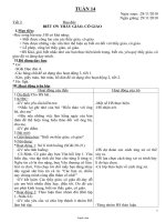 Giáo án Tổng hợp môn lớp 4 - Tuần 14