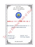 Luận văn kinh tế Phân tích chiến lược bán hàng khác biệt của công ty TNHH London Sales