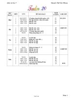 Giáo án Lớp 1 - Tuần 20 - Nguyễn Thị Cẩm Nhung
