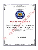 Luận văn kinh tế Phân tích các nhân tố ảnh hưởng đến sự hài lòng của khách hàng về chất lượng dịch vụ ngân hàng điện tử tại Ngân hàng Quân đội Chi nhánh Huế
