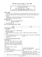 Giáo án Tập làm văn 4 tiết 29: Luyện tập miêu tả đồ vật