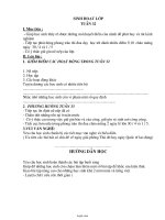 Giáo án Sinh hoạt lớp 2 - Tuần 32