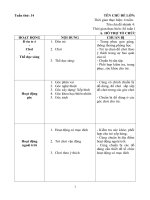 Giáo an phối kết hợp tổ chức hoạt động tuần 13 (5-6 tuổi)