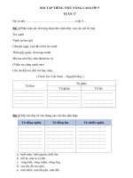 Bài tập cuối tuần - Tiếng Việt 5 - Tuần 17