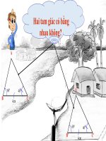 Chuong II 5 Truong hop bang nhau thu ba cua tam giac goccanhgoc gcg 1 ad1ec135e3