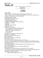 Bài soạn môn học khối 4 - Tuần thứ 22