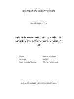 Giải pháp marketing thúc đẩy tiêu thụ sản phẩm của công ty cổ phần gốm luy lâu   