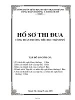 Bìa mẫu: Hồ sơ thi đua công đoàn trường tiểu học Thành Mỹ