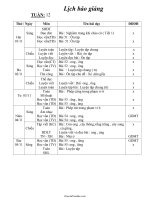 Giáo án Khối 1 (Chuẩn) - Tuần 12