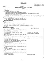 Giáo án Tổng hợp môn lớp 4 - Tuần 15