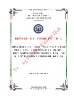 Luận văn kinh tế PHÂN TÍCH YẾU TỐ ẢNH HƯỞNG ĐẾN QUYẾT ĐỊNH MUA CỦA NGƯỜI TIÊU DÙNG ĐỐI VỚI DỊCH VỤ