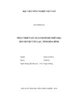 Phát triển sản xuất bưởi đỏ trên địa bàn huyện tân lạc, tỉnh hòa bình   