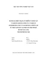 Đánh giá hiện trạng ô nhiễm vi sinh vật và kháng kháng sinh của vi khuẩn escherichia coli và salmonella phân lập từ thịt lợn bán tại một số chợ thuốc huyện gia lâm, thành phố hà nội   