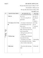 GIAO AN dong vat song trong gia dinh óc 2 cánh 2 chân (ntd2 2017 -2018)