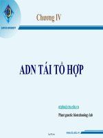 Bài giảng ADB tái tổ hợp
