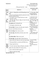 giáo án phối hợp tuần 22 một số loaijrau củ quả 4 b2( 2017-2018)