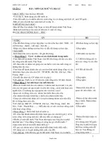 Giáo án Lịch sử 4 - Tuần 1 đến tuần 8