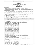 Giáo án môn: Tiếng việt – Lớp 4 Học kì II – Trường Tiểu học Nam Mỹ