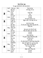 Giáo án các môn lớp 4 (chuẩn kiến thức) - Tuần 24, 25