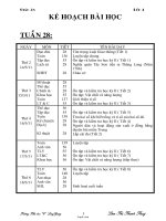 Giáo án tổng hợp môn lớp 4 - Tuần 28 - Trường Tiểu học “C” Long Giang