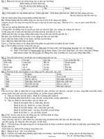 Ôn tập Tiếng Việt lớp 4