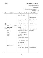 Giáo án Tuần 7 Anh chị em trong gia đình