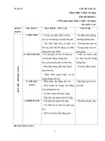 Giáo án tuần 33. Nhánh 1