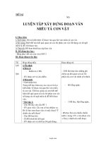 Giáo án môn Tiếng Việt 4 - Tiết 62: Luyện tập xây dựng đoạn văn miêu tả con vật