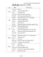 Giáo án Lớp 4 - Tuần 28 - Năm học 2009-2010 - Ngô Thị Hồng Vân