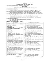 Giáo án môn Tiếng Việt 4 - Tuần số 13