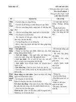 giáo an phối hợp tổ chức các hoạt động tuần 15 (lớp 3TC2-2018-2019)