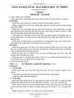 Giáo án Đại số 10 - Ban khoa học tự nhiên - Chương 1, 2