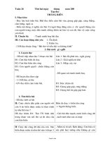 Thiết kế bài dạy lớp 4 - Tuần thứ 26