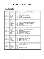 Giáo án Lớp 4 Tuần 25 - Chuẩn KTKN KNS