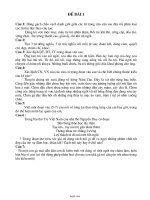 Ôn tập học sinh giỏi Tiếng Việt 4