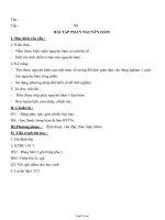 Giáo án Giải tích 12 cơ bản: Bài tập phần nguyên hàm