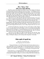 Một số bài văn mẫu lớp 4