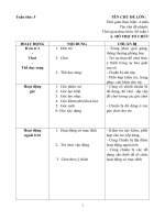 Giáo án phối kết hợp tuần 5: Cơ thể của bé