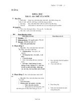 Giáo án Khoa học 4 - Tiết 11: Ba thể của nước