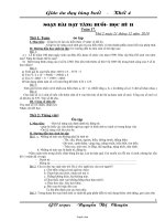 Giáo án dạy tăng buổi - Khối 4