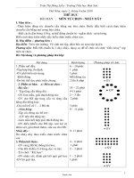 Giáo án Lớp 4 - Tuần 29, Thứ 5 - Năm học 2009-2010 - Trần Thị Hồng Liễu