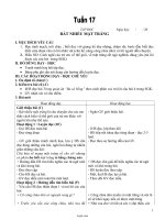 Giáo án môn Tiếng Việt lớp 4 - Tuần 17