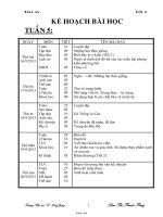 Giáo án các môn lớp 4 - Tuần 5 năm học 2013