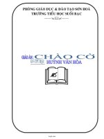 Giáo án chào cờ - Trường tiểu học Suối Bạc