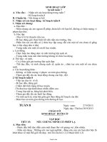 Giáo án các môn học lớp 4 - Tuần dạy 8 năm 2013