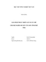 Giải pháp phát triển sản xuất chè cho hộ nghèo huyện tân sơn tỉnh phú thọ   