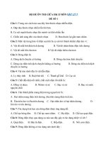 Tải Bộ đề ôn thi giữa học kì 2 môn Vật lý 7 năm học 2020 - 2021 - Đề kiểm tra giữa kì 2 Lý 7 năm 2021