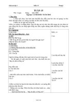 Thiết kế bài dạy các môn lớp 4 - Đặng Thúy lựu - Tuần 15